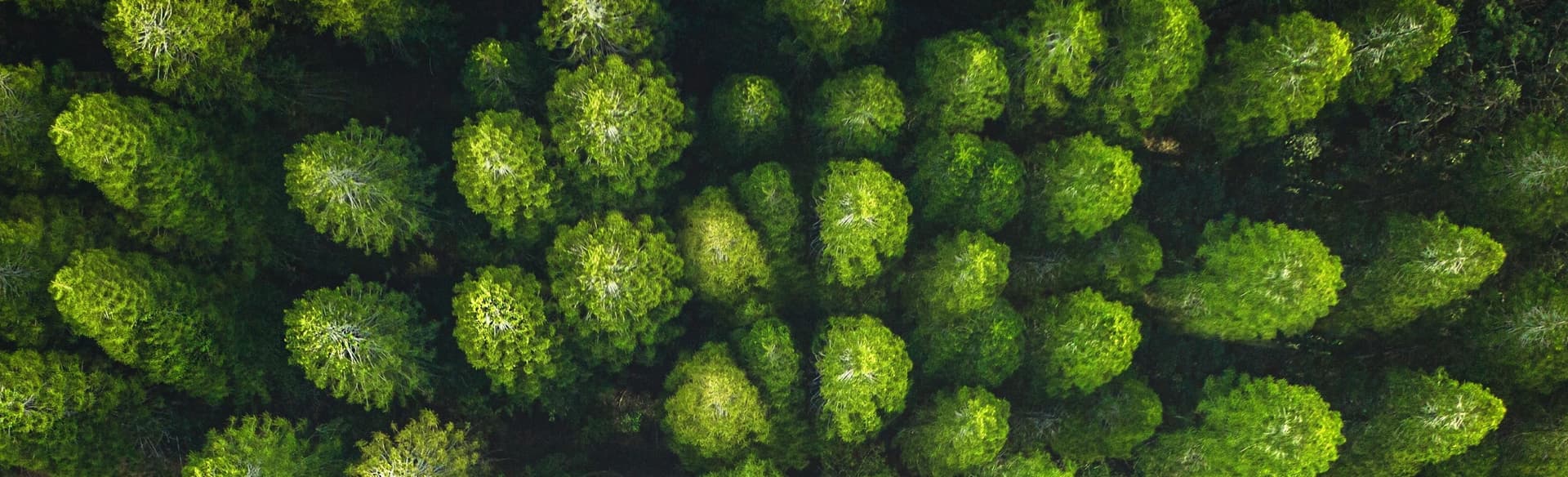 Calculator background